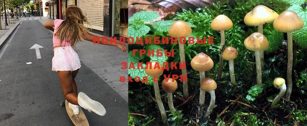 герыч Арсеньев