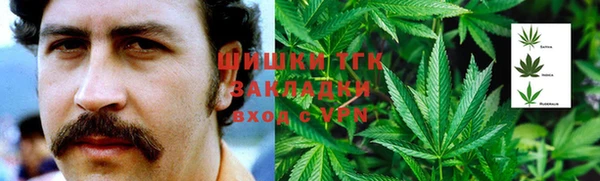 мдпв Болхов