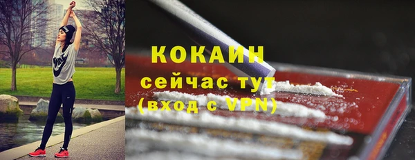 мдпв Болхов